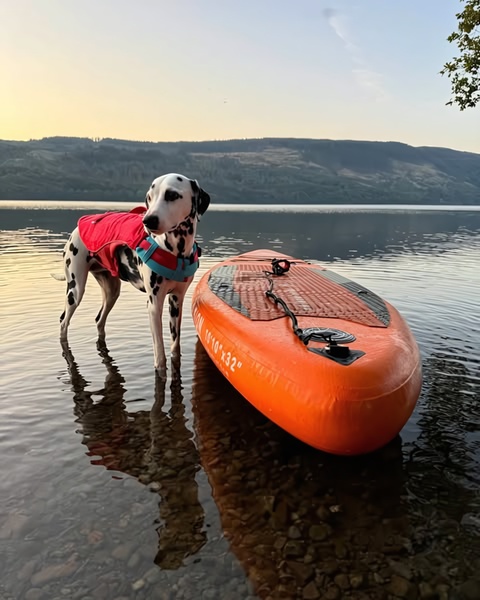 paddle board, sup board, inflatable paddle board, stand up paddle, water sports equipment, product demo, lifestyle, outdoor, calm, orange, blue, neutral